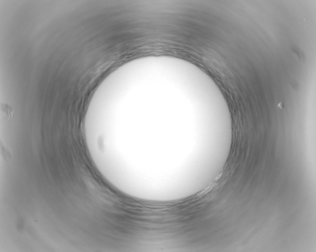 X0000090950176200708021109