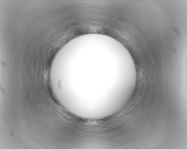 X0000090950177200708021109