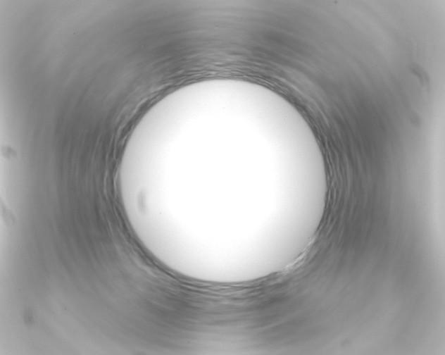 X0000090950180200708021109