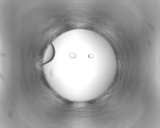 X0000090950181200708021109