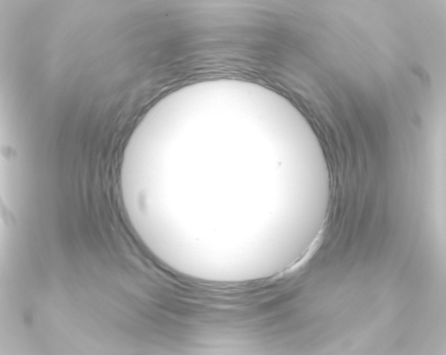 X0000090950182200708021109