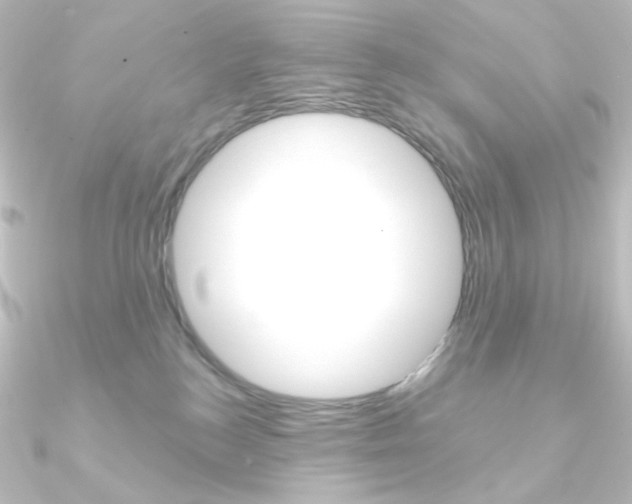 X0000090950184200708021109