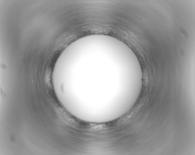 X0000090950185200708021109