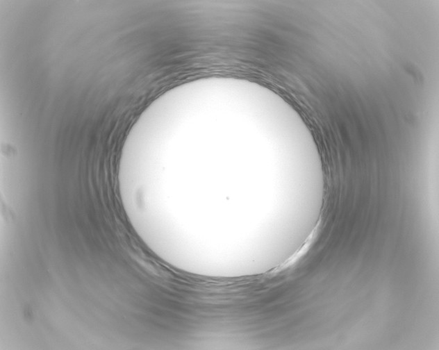 X0000090950186200708021109