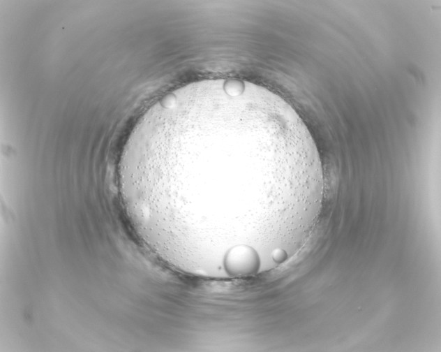 X0000090950187200708021109