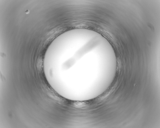 X0000090950189200708021109