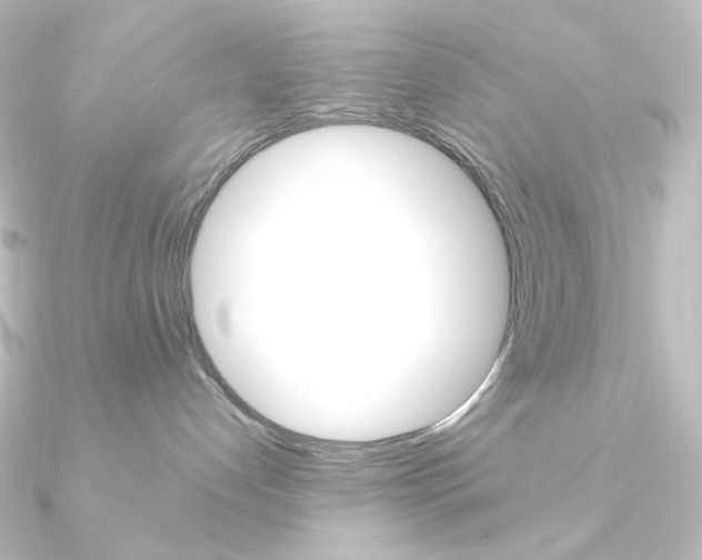 X0000090950192200708021109