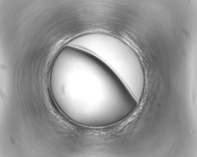 X0000090950193200708021108