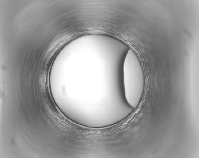 X0000090950194200708021108