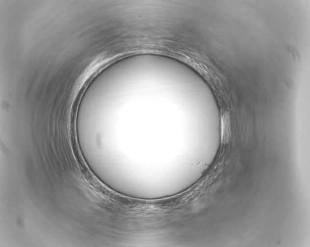 X0000090950195200708021108