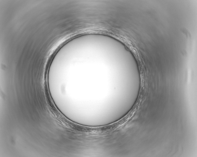 X0000090950196200708021108