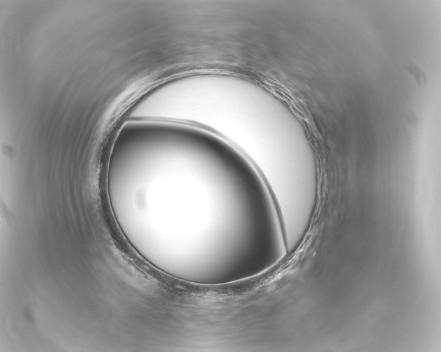 X0000090950197200708021108