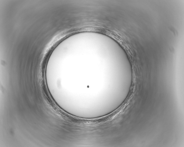 X0000090950198200708021108