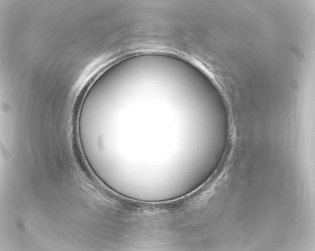 X0000090950199200708021108