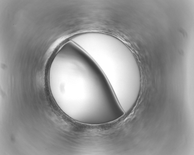 X0000090950200200708021108