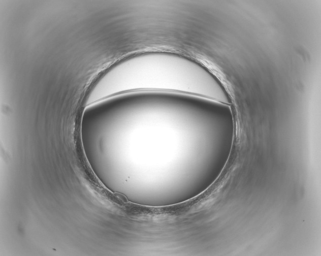 X0000090950201200708021108