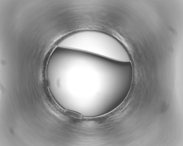 X0000090950203200708021108
