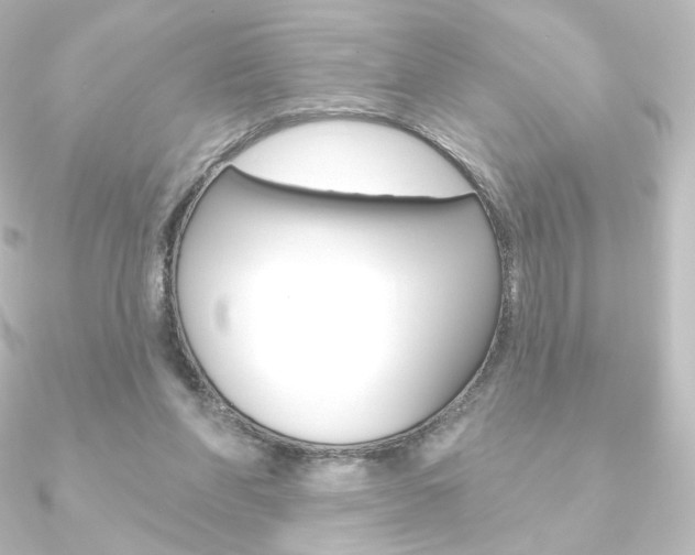 X0000090950206200708021108