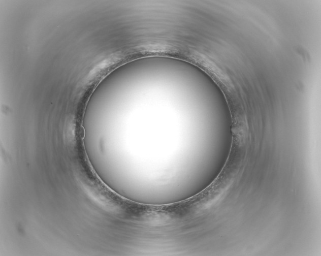 X0000090950207200708021108