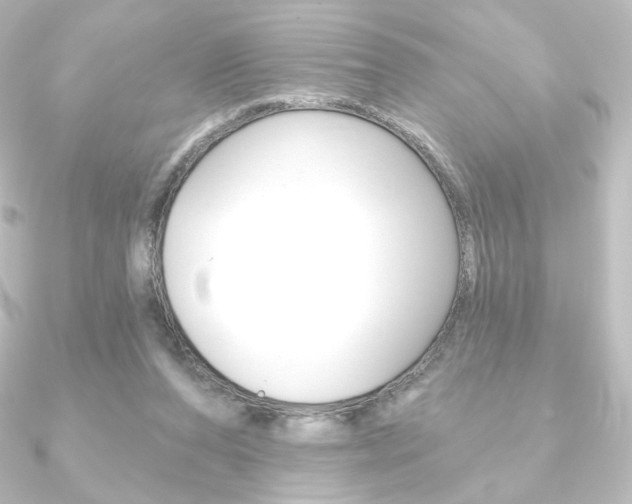 X0000090950208200708021108