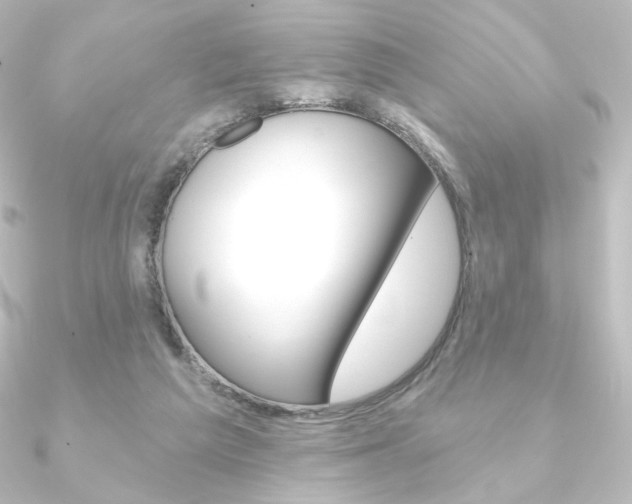 X0000090950209200708021108