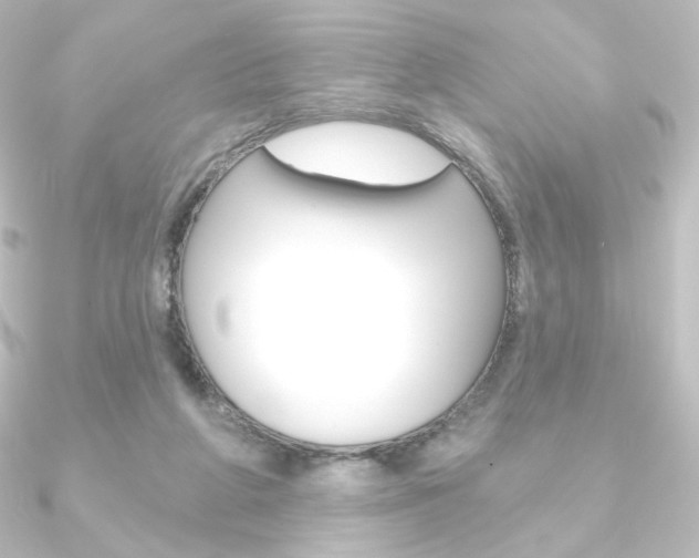 X0000090950210200708021108