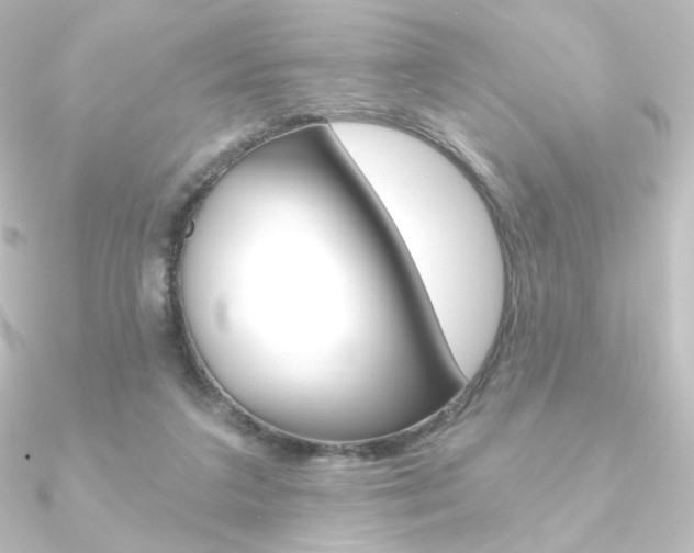X0000090950211200708021108