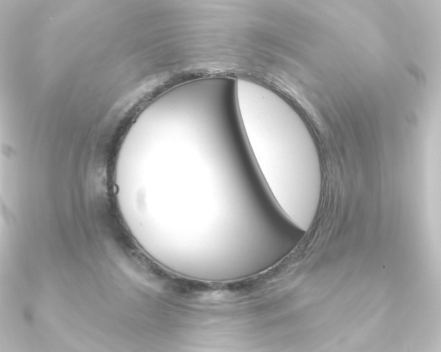 X0000090950212200708021108