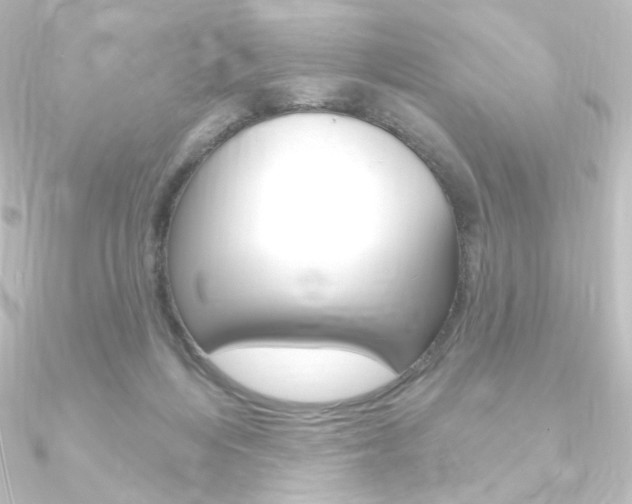 X0000090950216200708021108