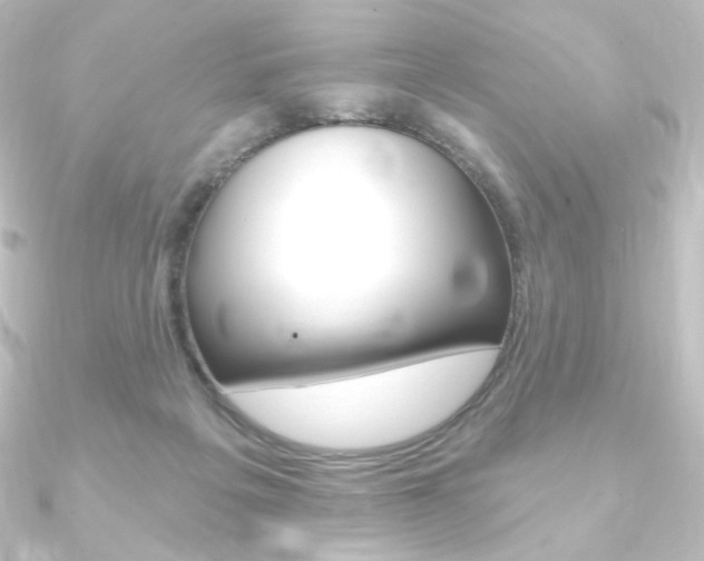 X0000090950217200708021108
