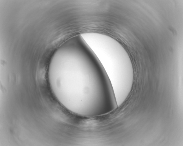 X0000090950219200708021108