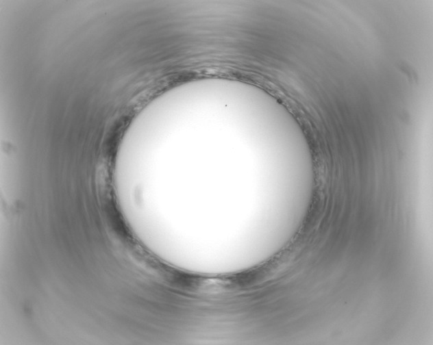 X0000090950222200708021108