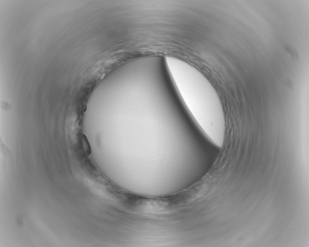 X0000090950223200708021108