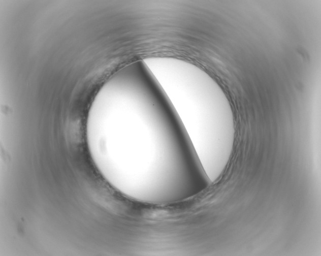 X0000090950224200708021108