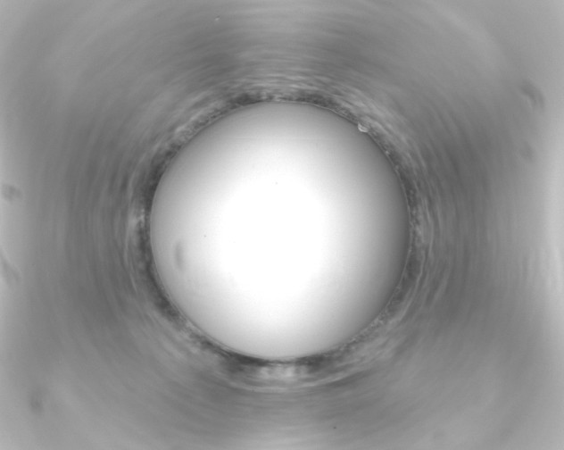 X0000090950225200708021108