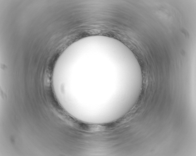X0000090950226200708021108