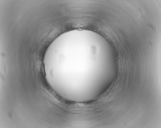 X0000090950227200708021108