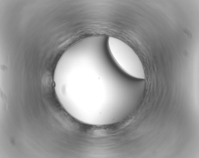 X0000090950228200708021108