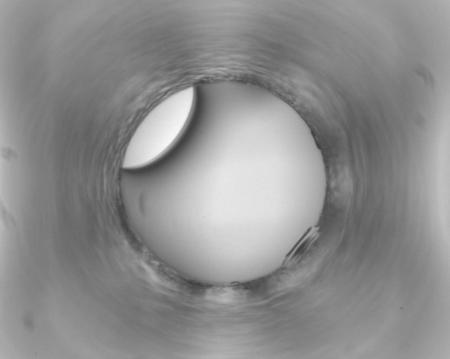 X0000090950231200708021108