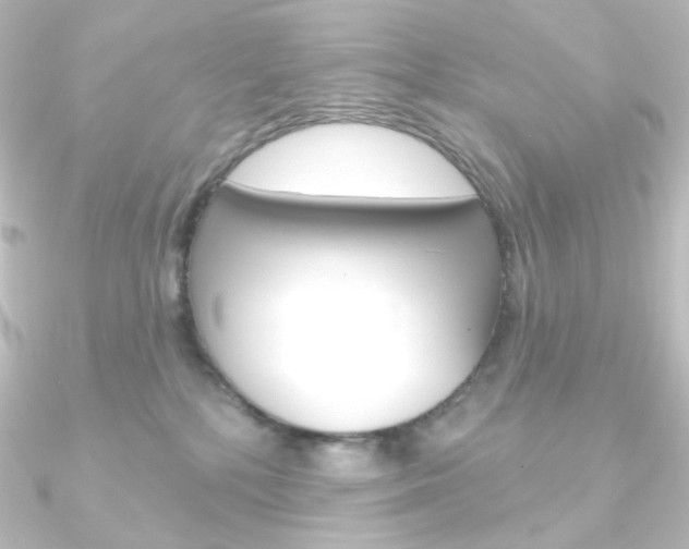 X0000090950232200708021108