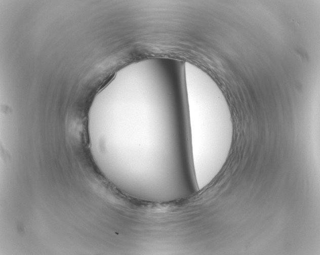 X0000090950235200708021108