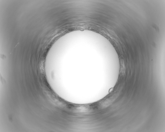 X0000090950236200708021108
