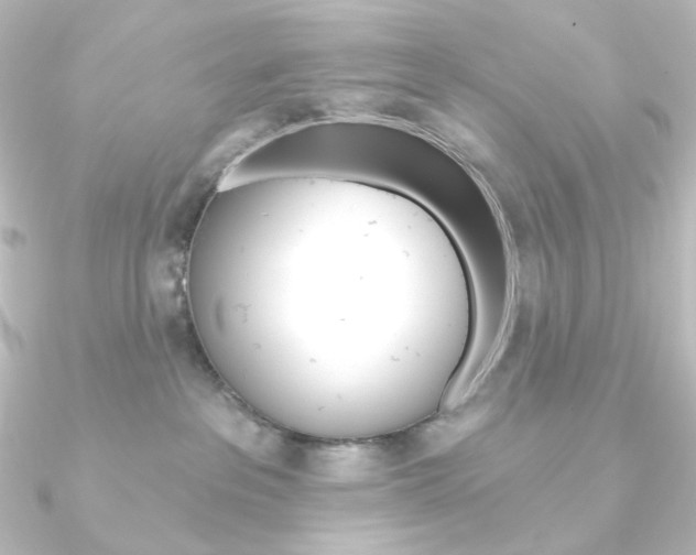 X0000090950237200708021108