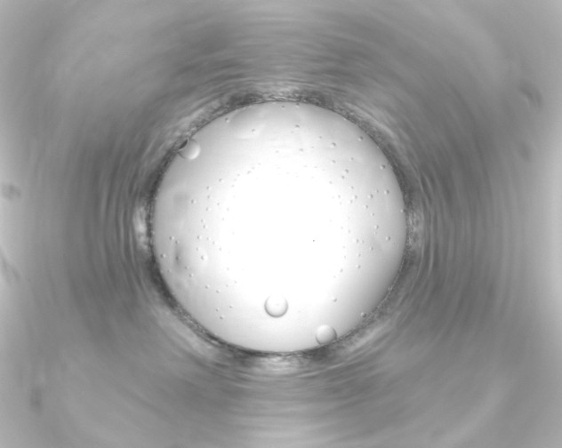 X0000090950238200708021108