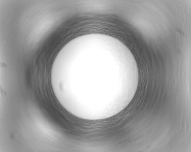 X0000090950239200708021108