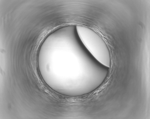 X0000090950241200708021107