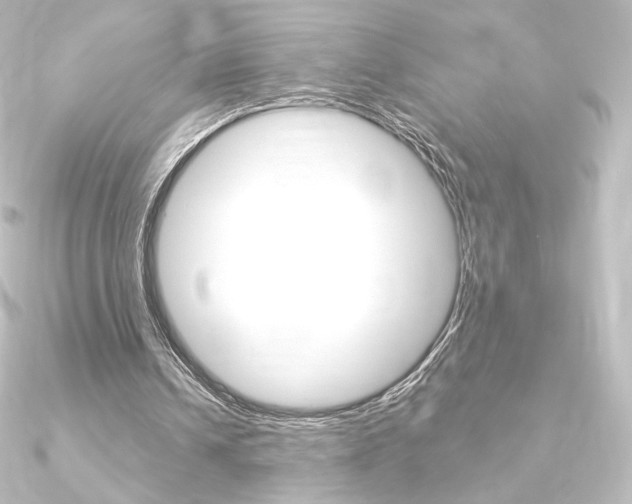 X0000090950242200708021107