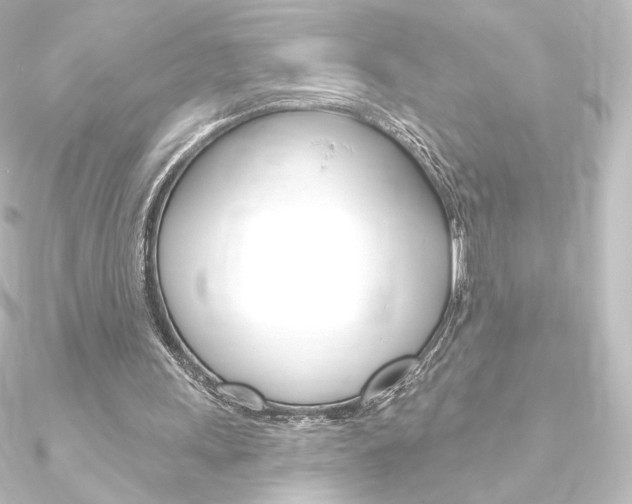 X0000090950243200708021107