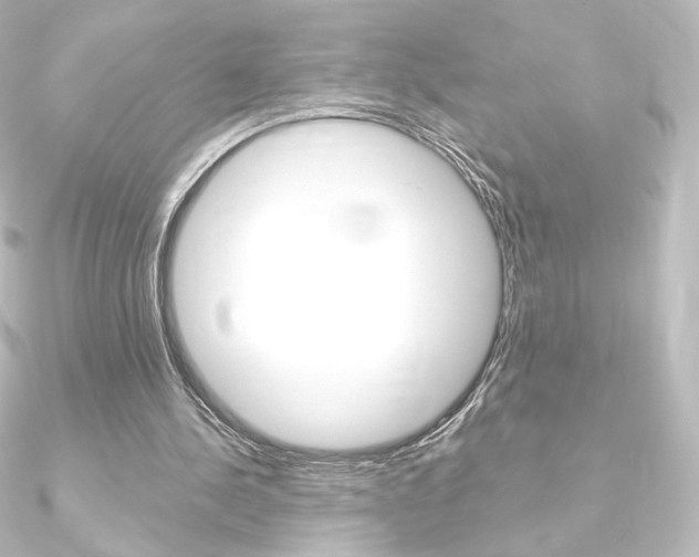 X0000090950244200708021107