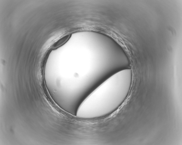 X0000090950245200708021107
